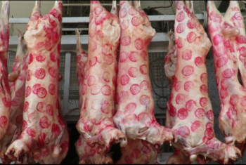  أسعار اللحوم تواصل الصعود الجنوني في الأسواق