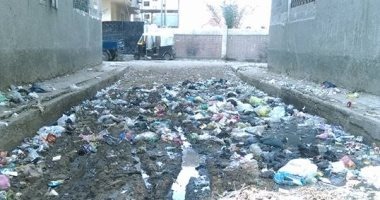  بالصور.. القمامة تحاصر شبكة كهرباء أبو كبير وسط غياب رقابة المحليات