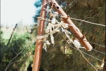  بالصور.. أعمدة كهرباء متهالكة تهدد حياة المواطنين بصان الحجر