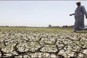  فلاحو الشرقية يشكون من تعرض الأراضي للجفاف ولجوئهم لمياه المجاري