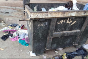  سكان المجاورة 31 بالعاشر من رمضان يشكون من انتشار القمامة