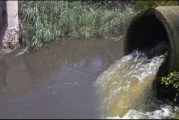  تلوث مياه الري بالصرف الصحي في عزبة عبداللطيف بالزقازيق