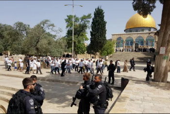  الاحتلال يعتقل فلسطينيين.. ومستوطنون يقتحمون المسجد “الأقصى”