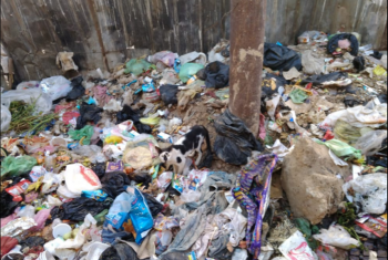  الزقازيق.. سكان شارع شعراوي يشتكون من تراكم القمامة