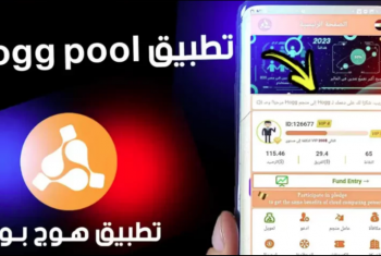  منصة “Hoogpool” تسرق 6 مليارات جنيه من مدخرات المصريين