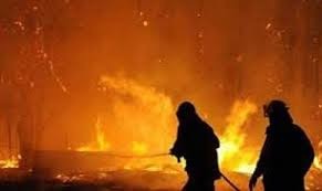  اندلاع حريق في مصنع رنجة بعزبة عمر في أبوكبير