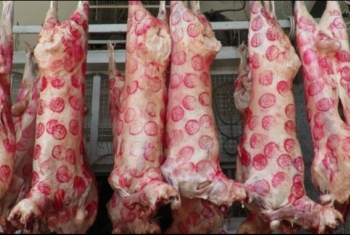  البقري 350 جنيها.. صعود أسعار اللحوم في الأسواق