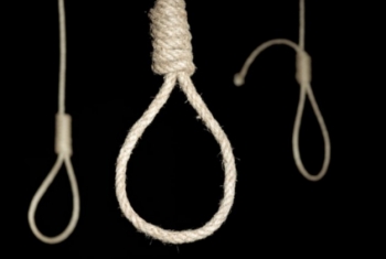  الإبراهيمية.. الإعدام لطالب الثانوي المتهم بذبح زوجة جده لسرقتها