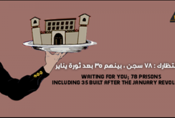  الشبكة العربية لحقوق الإنسان تحذر من زيادة أعداد السجون في مصر
