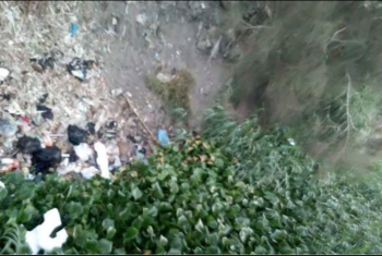  صور| القمامة تغطي ترعة الري بمنشأة أبوعمر.. فشل الانقلاب يتواصل